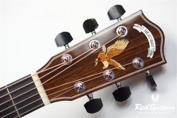 HF-501 Built by Yasuo Momose 